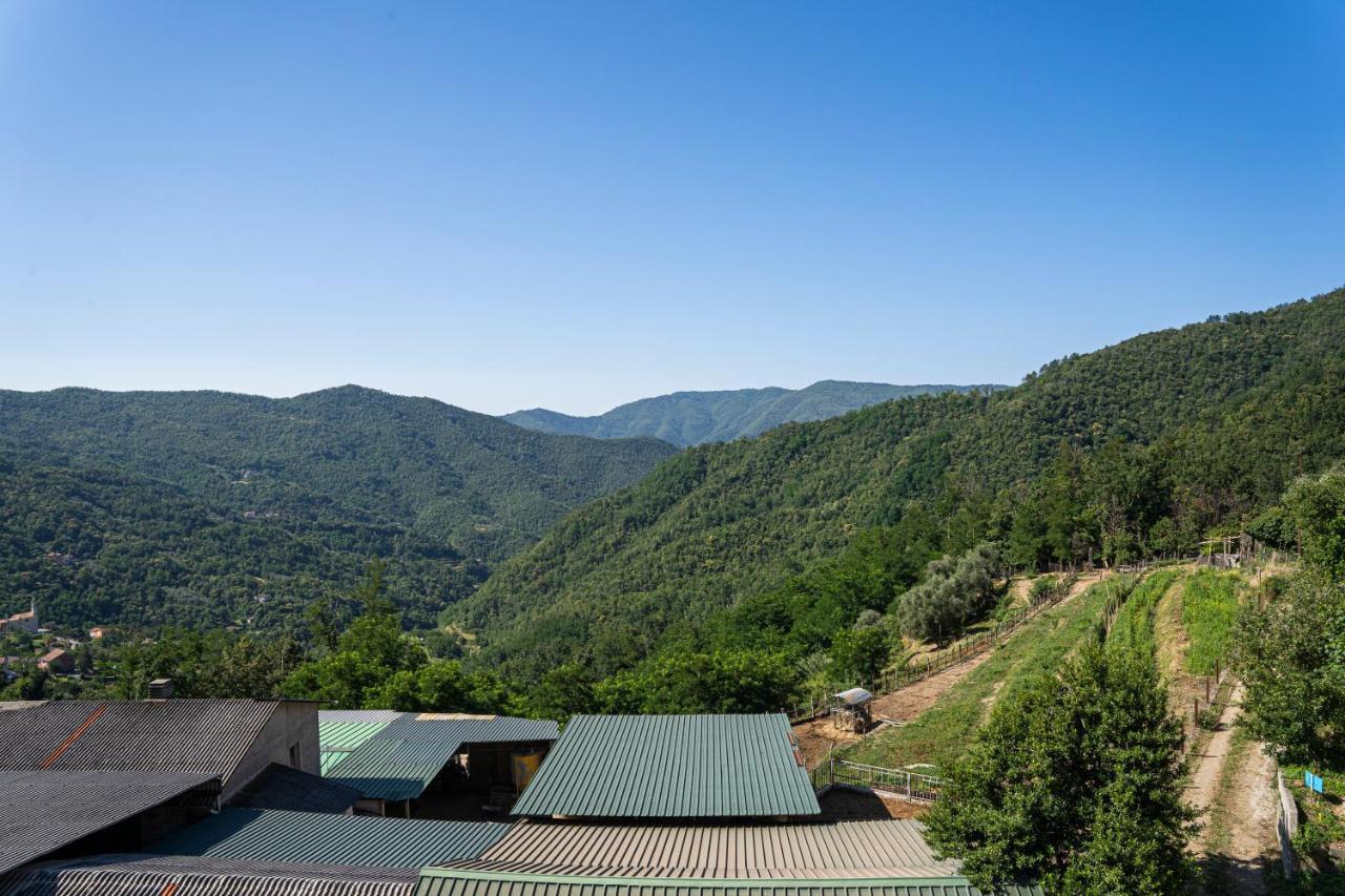 Вилла 01234 - Agriturismo La Marpea, Esperienza In Mezzo Alla Natura E Al Cibo Tipico Italiano Terisso Экстерьер фото